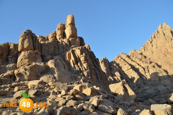 sharm el skhekh 707  (14).JPG